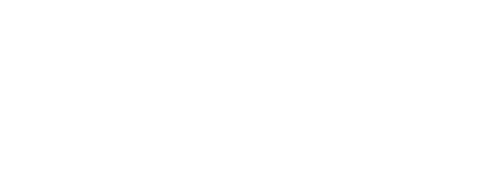 Savant Ambassador Elite 2026